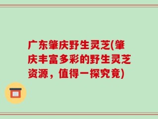 广东肇庆野生灵芝(肇庆丰富多彩的野生灵芝资源，值得一探究竟)
