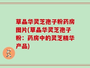 草晶华灵芝孢子粉药房图片(草晶华灵芝孢子粉：药房中的灵芝精华产品)