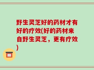 野生灵芝好的药材才有好的疗效(好的药材来自野生灵芝，更有疗效)