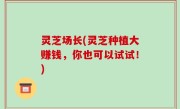 灵芝场长(灵芝种植大赚钱，你也可以试试！)