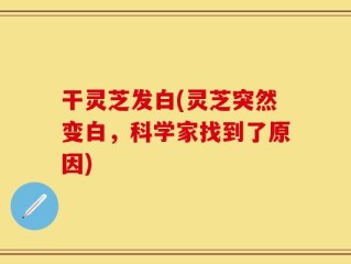 干灵芝发白(灵芝突然变白，科学家找到了原因)