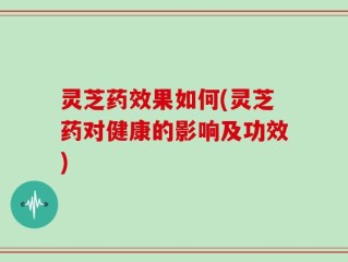 灵芝药效果如何(灵芝药对健康的影响及功效)
