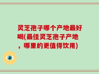灵芝孢子哪个产地最好喝(最佳灵芝孢子产地，哪里的更值得饮用)