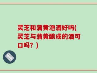 灵芝和蒲黄泡酒好吗(灵芝与蒲黄酿成的酒可口吗？)