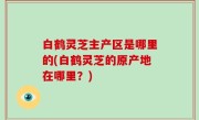 白鹤灵芝主产区是哪里的(白鹤灵芝的原产地在哪里？)