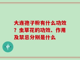 大连孢子粉有什么功效？虫草花的功效、作用及禁忌分别是什么