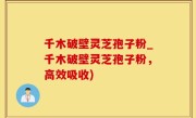 千木破壁灵芝孢子粉_千木破壁灵芝孢子粉，高效吸收)