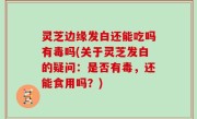 灵芝边缘发白还能吃吗有毒吗(关于灵芝发白的疑问：是否有毒，还能食用吗？)