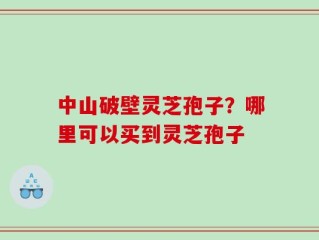 中山破壁灵芝孢子？哪里可以买到灵芝孢子