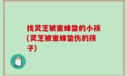 找灵芝被蜜蜂蛰的小孩(灵芝被蜜蜂蛰伤的孩子)