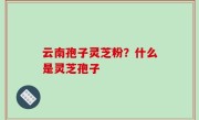 云南孢子灵芝粉？什么是灵芝孢子