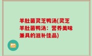 羊肚菌灵芝鸭汤(灵芝羊肚菌鸭汤：营养美味兼具的滋补佳品)