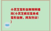 小灵芝变形金刚视频播放(小灵芝疯狂变身成变形金刚，网友热议！)