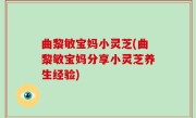 曲黎敏宝妈小灵芝(曲黎敏宝妈分享小灵芝养生经验)
