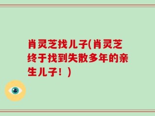 肖灵芝找儿子(肖灵芝终于找到失散多年的亲生儿子！)