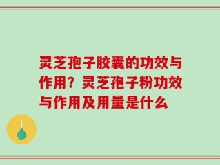 灵芝孢子胶囊的功效与作用？灵芝孢子粉功效与作用及用量是什么
