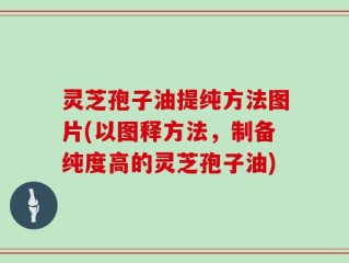 灵芝孢子油提纯方法图片(以图释方法，制备纯度高的灵芝孢子油)