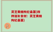 灵芝黄精枸杞桑葚(四种滋补食材：灵芝黄精枸杞桑葚)