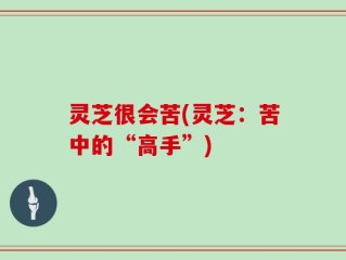 灵芝很会苦(灵芝：苦中的“高手”)
