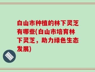 白山市种植的林下灵芝有哪些(白山市培育林下灵芝，助力绿色生态发展)