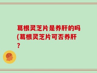 葛根灵芝片是养肝的吗(葛根灵芝片可否养肝？
