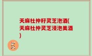 天麻杜仲籽灵芝泡酒(天麻杜仲灵芝浸泡美酒)
