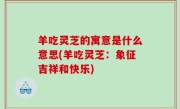 羊吃灵芝的寓意是什么意思(羊吃灵芝：象征吉祥和快乐)