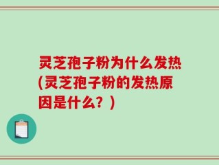 灵芝孢子粉为什么发热(灵芝孢子粉的发热原因是什么？)