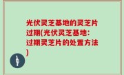 光伏灵芝基地的灵芝片过期(光伏灵芝基地：过期灵芝片的处置方法)