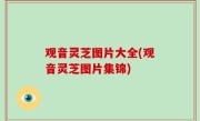 观音灵芝图片大全(观音灵芝图片集锦)