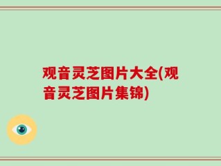 观音灵芝图片大全(观音灵芝图片集锦)