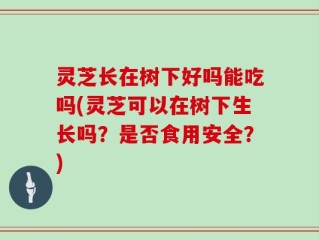 灵芝长在树下好吗能吃吗(灵芝可以在树下生长吗？是否食用安全？)