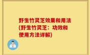 野生竹灵芝效果和用法(野生竹灵芝：功效和使用方法详解)
