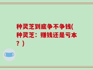 种灵芝到底争不争钱(种灵芝：赚钱还是亏本？)