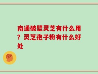 南通破壁灵芝有什么用？灵芝孢子粉有什么好处