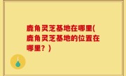 鹿角灵芝基地在哪里(鹿角灵芝基地的位置在哪里？)