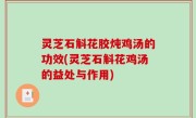 灵芝石斛花胶炖鸡汤的功效(灵芝石斛花鸡汤的益处与作用)
