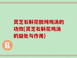 灵芝石斛花胶炖鸡汤的功效(灵芝石斛花鸡汤的益处与作用)