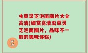 虫草灵芝泡面图片大全高清(细赏高清虫草灵芝泡面图片，品味不一般的美味体验)