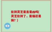 捡到灵芝是吉是凶吗(灵芝捡到了，是福还是祸？)