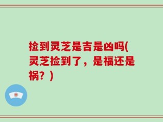 捡到灵芝是吉是凶吗(灵芝捡到了，是福还是祸？)