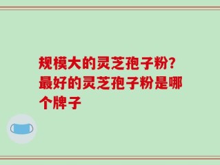 规模大的灵芝孢子粉？最好的灵芝孢子粉是哪个牌子