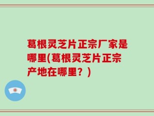 葛根灵芝片正宗厂家是哪里(葛根灵芝片正宗产地在哪里？)