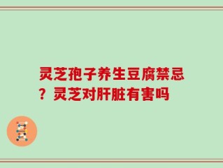 灵芝孢子养生豆腐禁忌？灵芝对肝脏有害吗