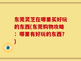 东莞灵芝在哪里买好玩的东西(东莞购物攻略：哪里有好玩的东西？)