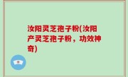 汝阳灵芝孢子粉(汝阳产灵芝孢子粉，功效神奇)
