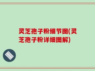 灵芝孢子粉细节图(灵芝孢子粉详细图解)