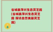 谷城县萍兴生态灵芝园(谷城县萍兴生态灵芝园 探访自然美丽灵芝园)