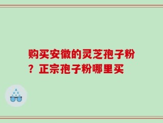 购买安徽的灵芝孢子粉？正宗孢子粉哪里买