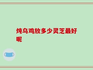 炖乌鸡放多少灵芝最好呢